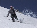 Benutzerbild von snowfox