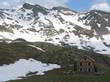 137Img_1087.jpg