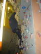 856Halle_08122004_6.jpg