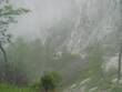 361Luzie_Franz_Alex_im_Nebel.jpg